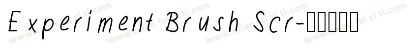 Experiment Brush Scr字体转换
